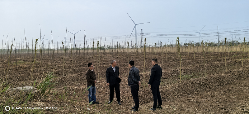 图片3_51250图片3