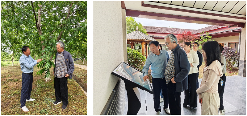 图片2_32919图片2