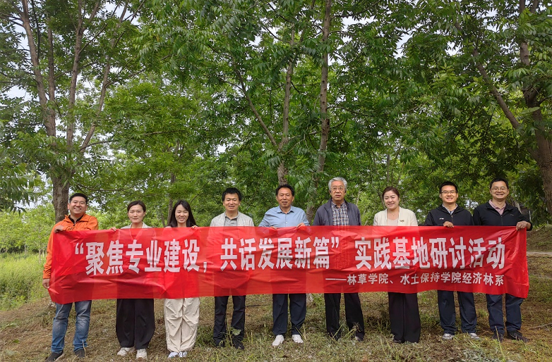 图片1_88393图片1