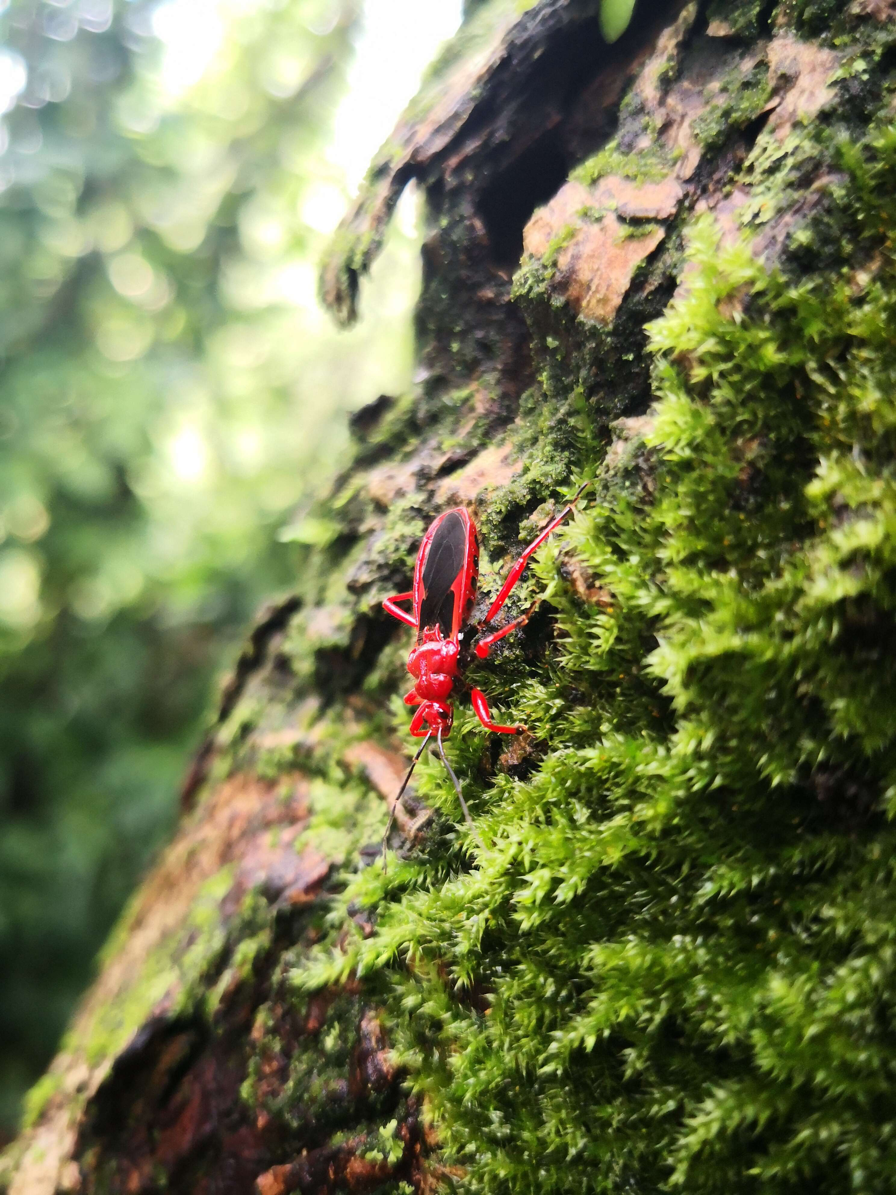 图片3_86349图片3